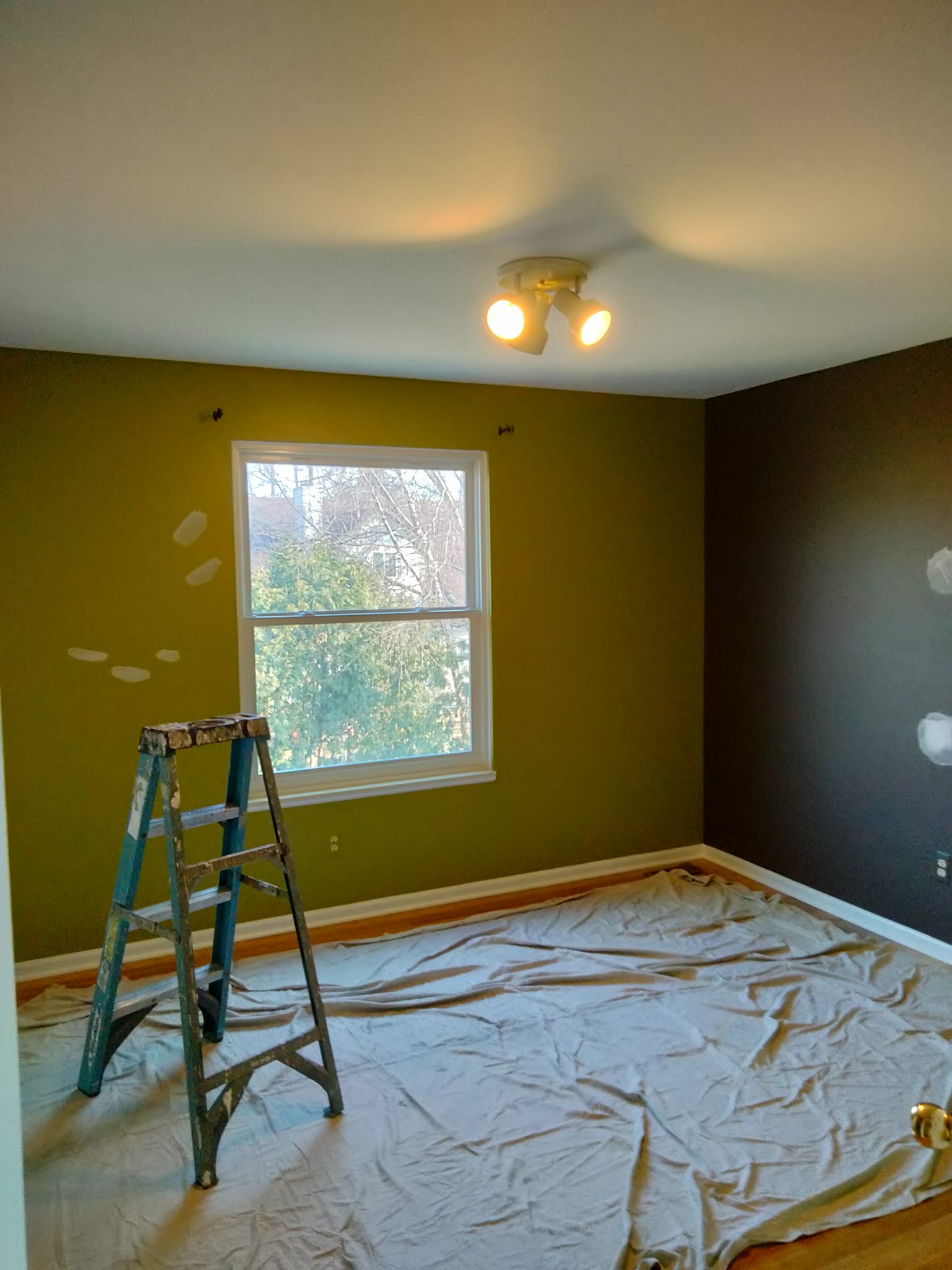 Painting Project