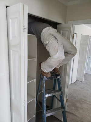 Wood Surface Repair Substrates